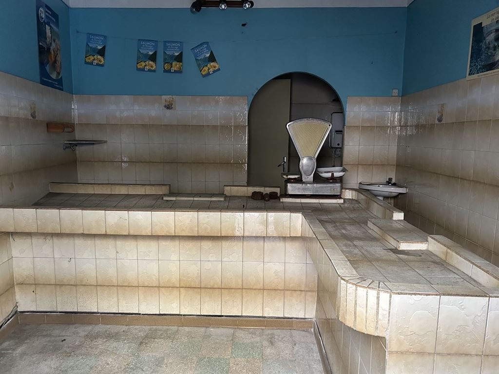 Immeuble ARLES SUR TECH (66150) L'Agence M.