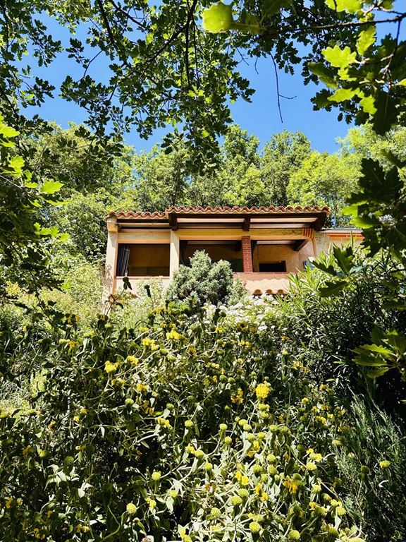 Maison MOSSET (66500) L'Agence M.